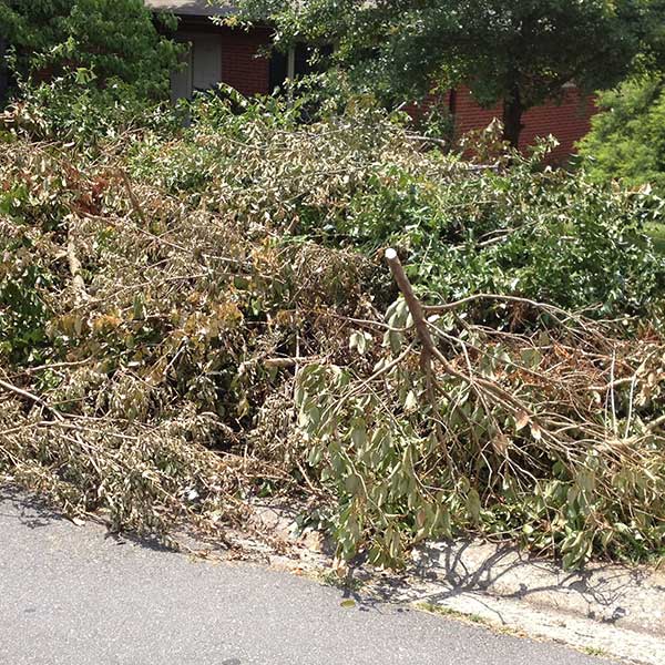 Garden Clearance Green Waste Clearance